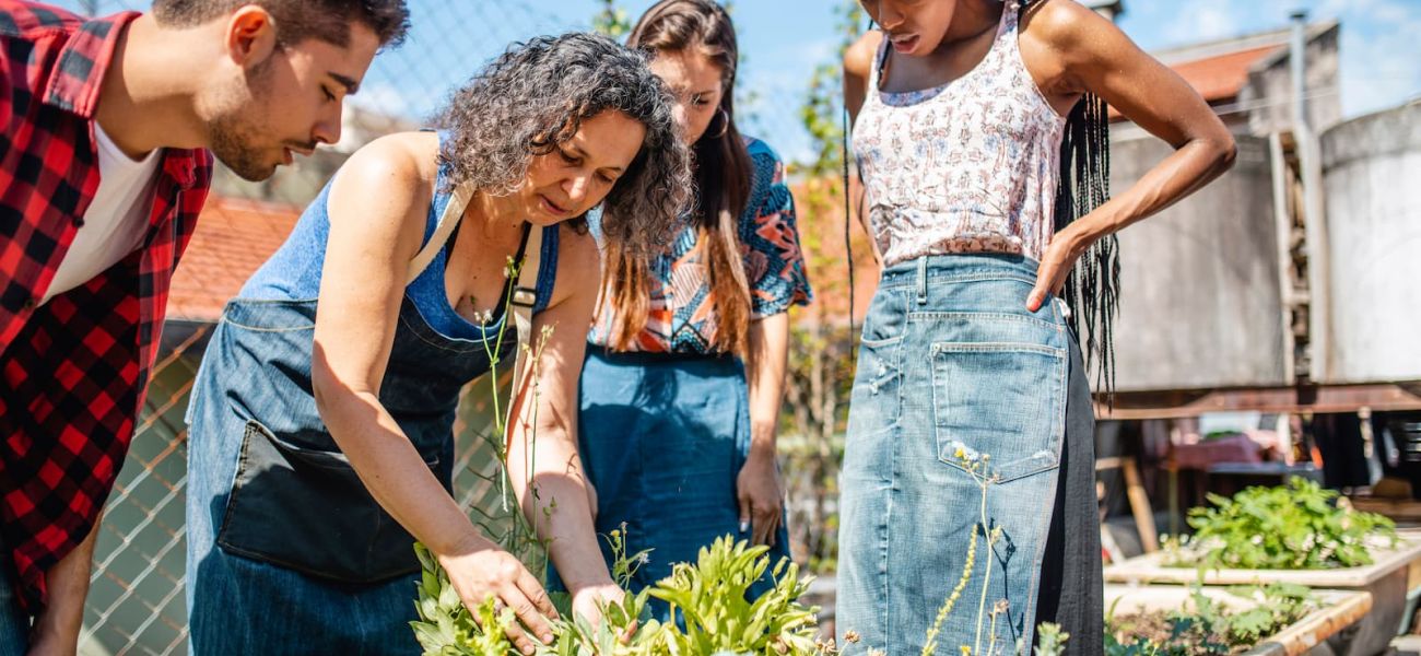 Τhe Greek Open Schooling Network in action